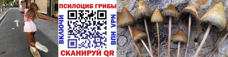 Псилоцибиновые грибы Cubensis  наркота  Лиски 